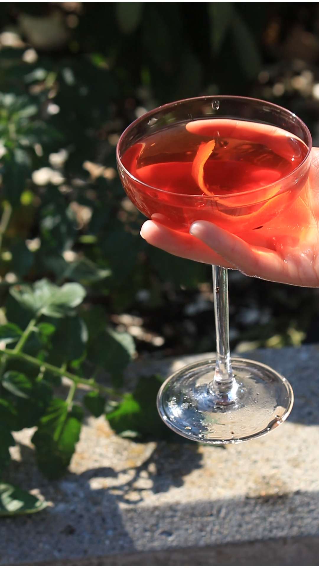 Specialty Cocktail Glasses